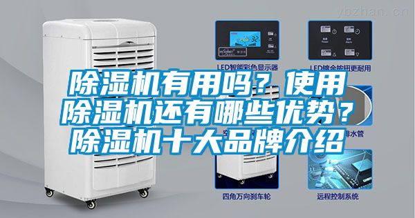 除濕機有用嗎？使用除濕機還有哪些優(yōu)勢？除濕機十大品牌介紹