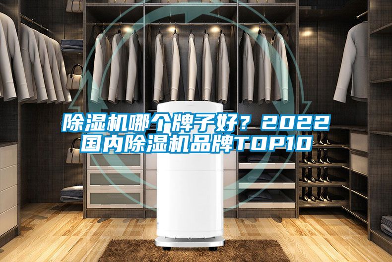 除濕機(jī)哪個牌子好？2022國內(nèi)除濕機(jī)品牌TOP10