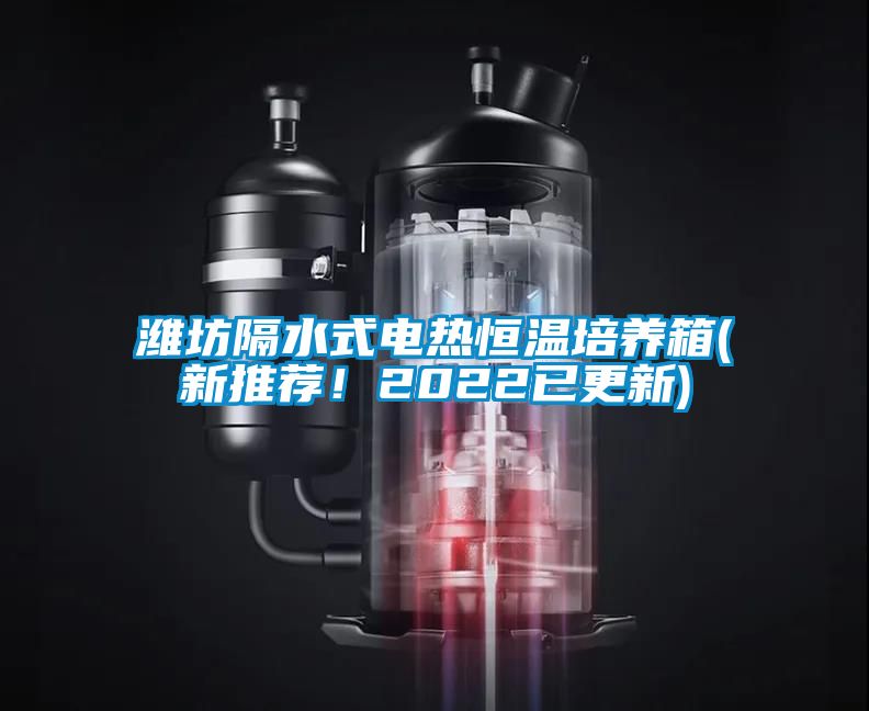 濰坊隔水式電熱恒溫培養(yǎng)箱(新推薦！2022已更新)