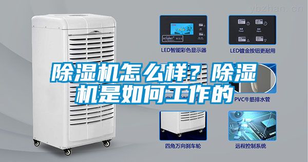 除濕機(jī)怎么樣？除濕機(jī)是如何工作的