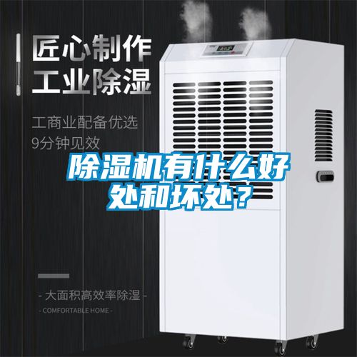 除濕機有什么好處和壞處？