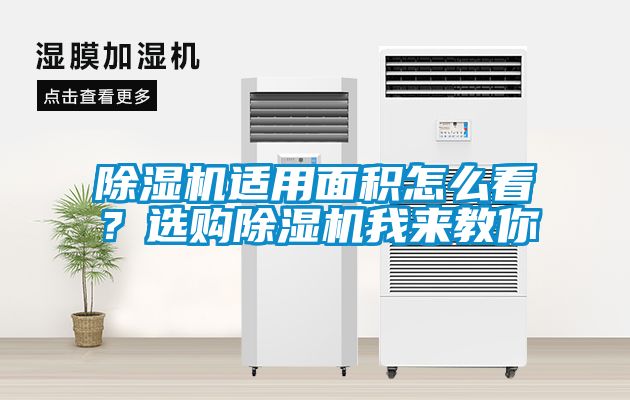 除濕機適用面積怎么看？選購除濕機我來教你