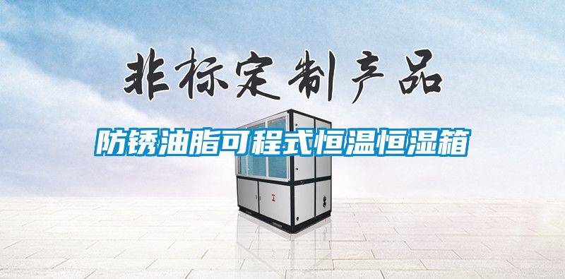 防銹油脂可程式恒溫恒濕箱