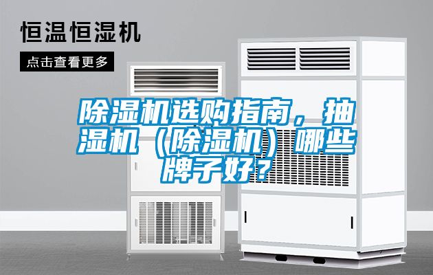 除濕機選購指南，抽濕機（除濕機）哪些牌子好？