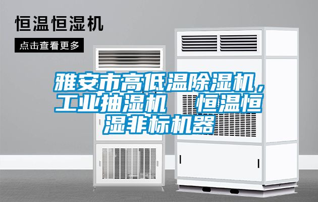 雅安市高低溫除濕機，工業(yè)抽濕機  恒溫恒濕非標機器