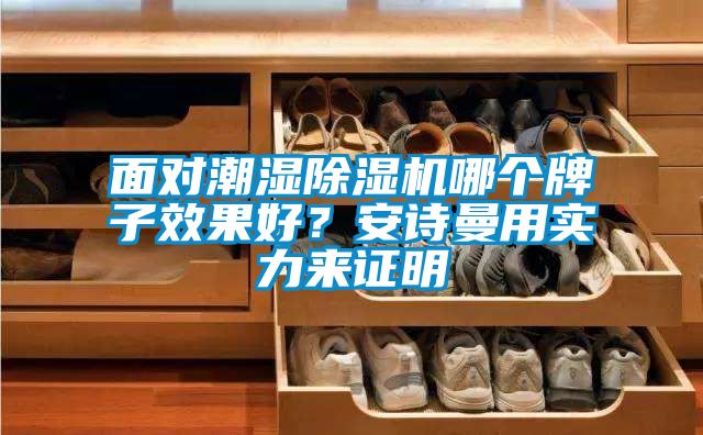 面對潮濕除濕機哪個牌子效果好？安詩曼用實力來證明